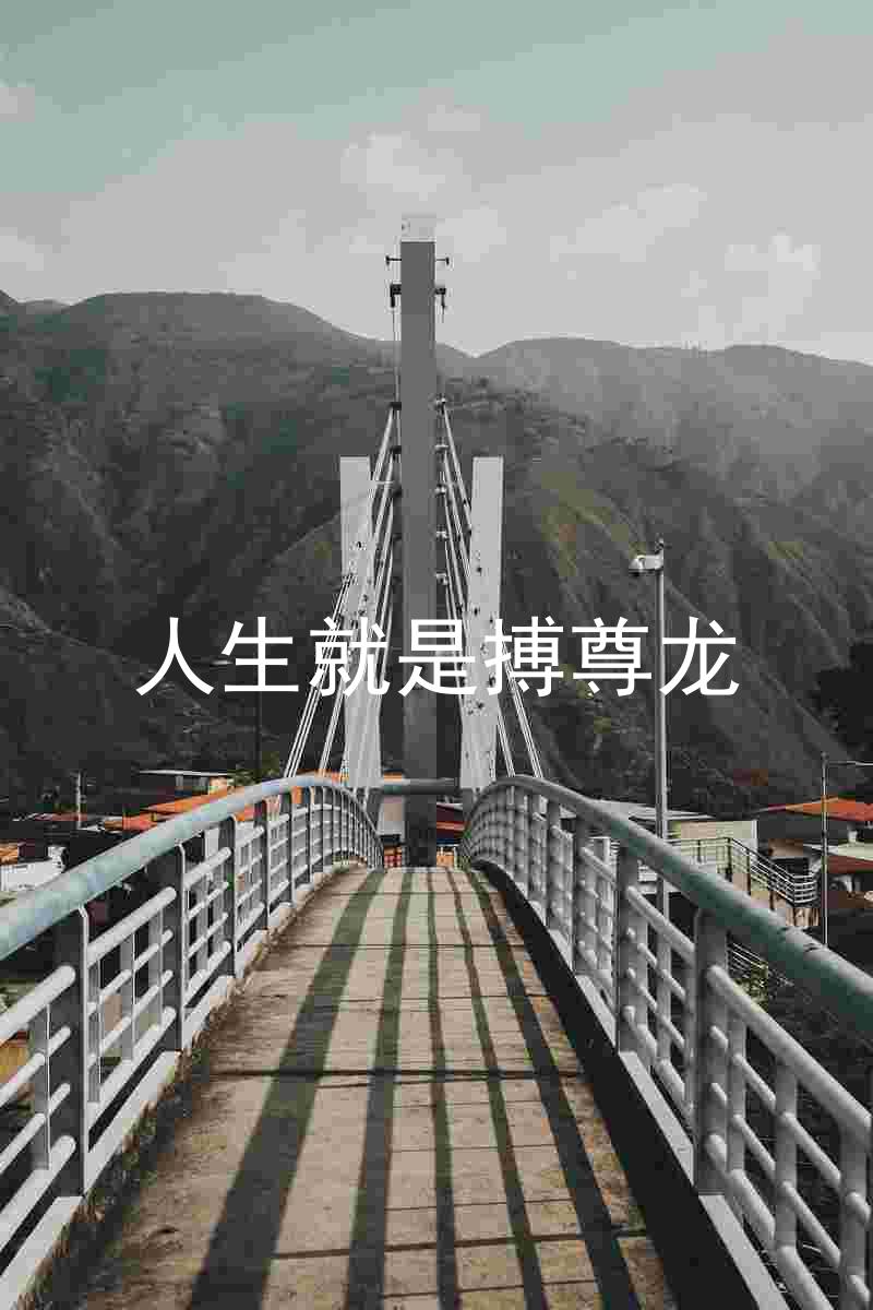 人生就是搏尊龙