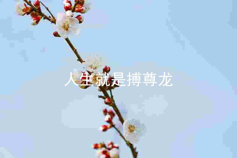 人生就是搏尊龙
