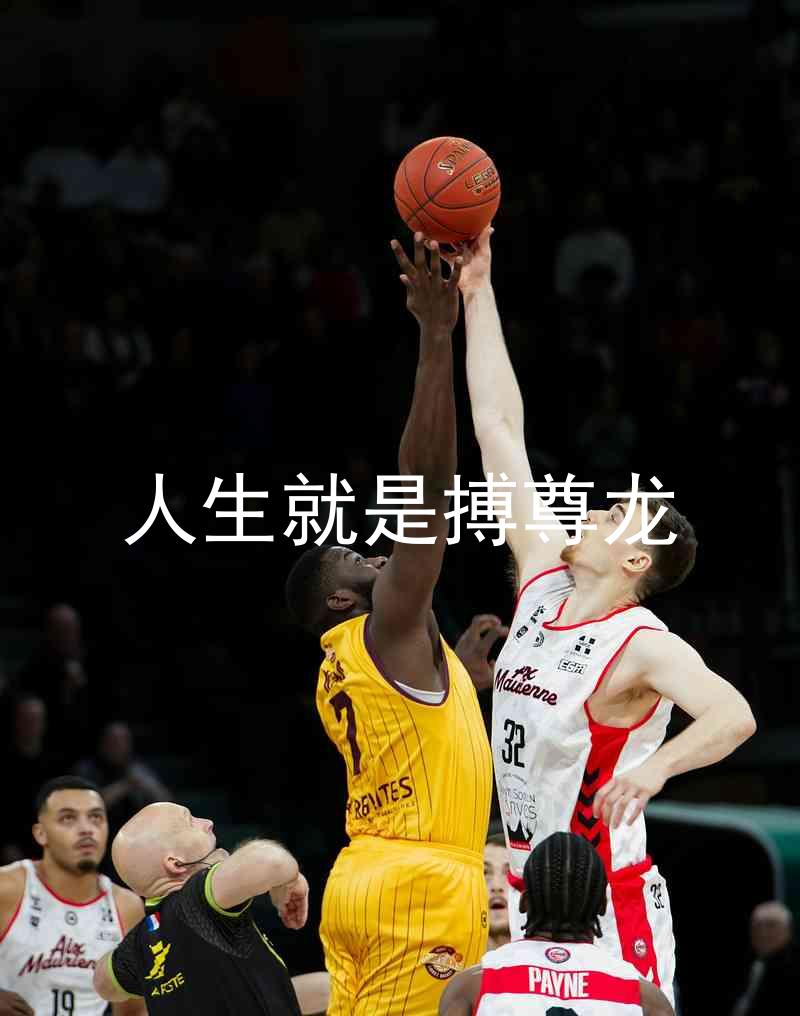 人生就是搏尊龙
