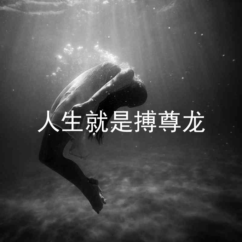 人生就是搏尊龙