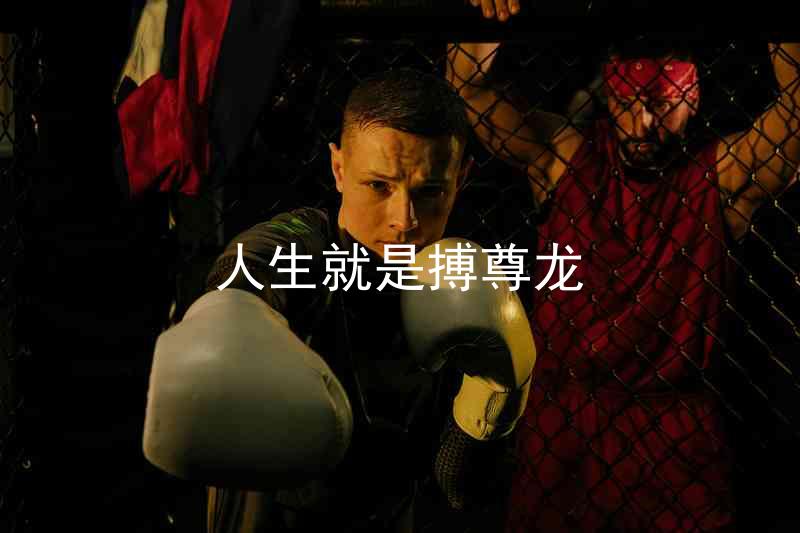 人生就是搏尊龙