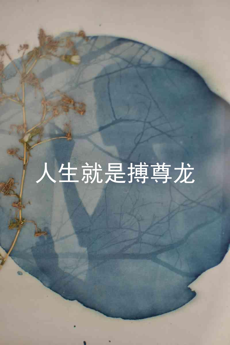 人生就是搏尊龙
