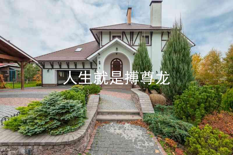 人生就是搏尊龙