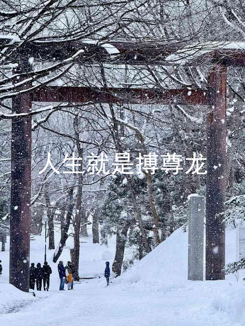 人生就是搏尊龙
